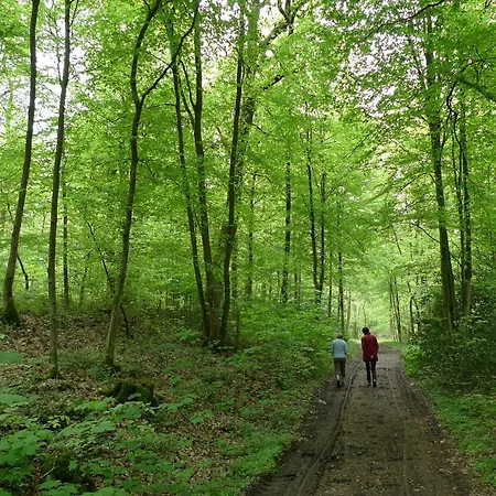 Les Deux De La Plumette - Le Logis Et Le Fenil Semesterbostad Sivry-Rance